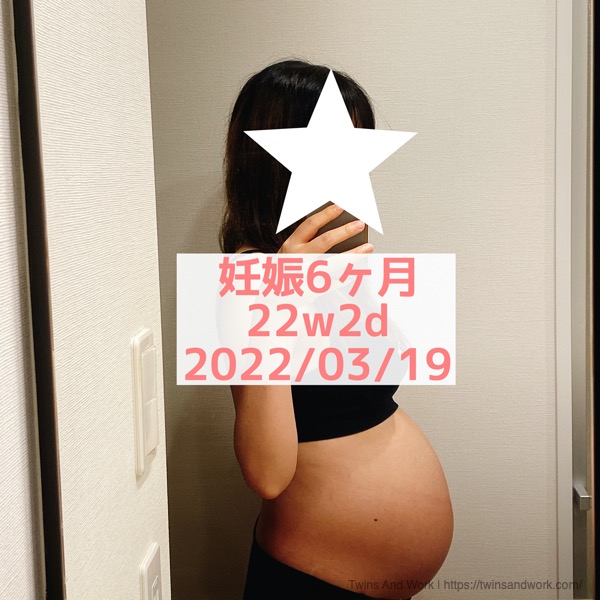 双子妊娠6ヶ月　お腹