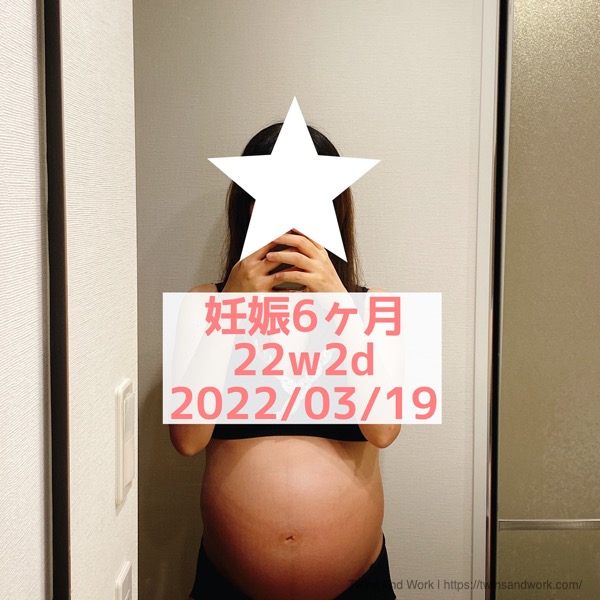 双子妊娠6ヶ月　お腹　正面